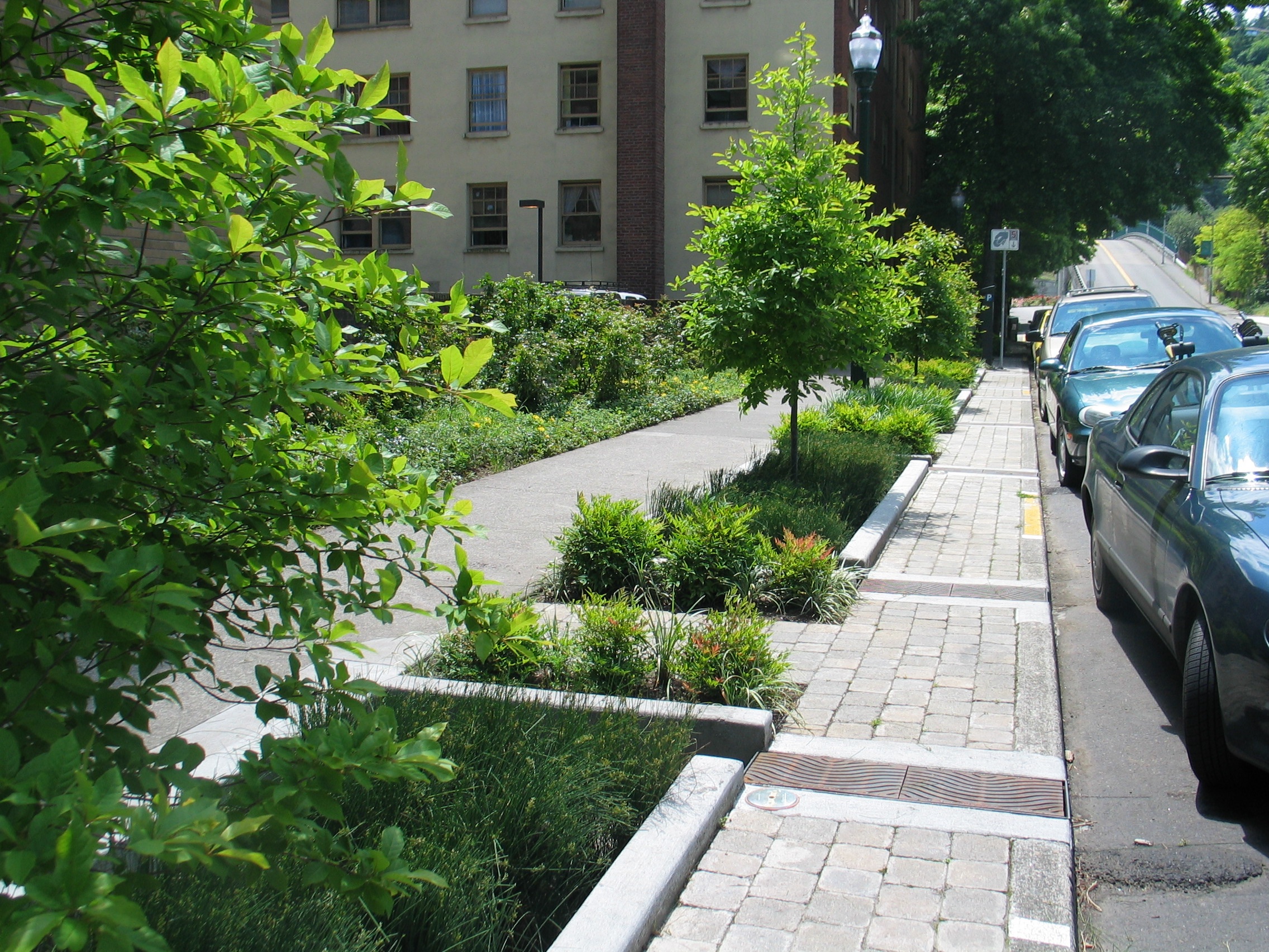 Bilby Road Complete Streets Project